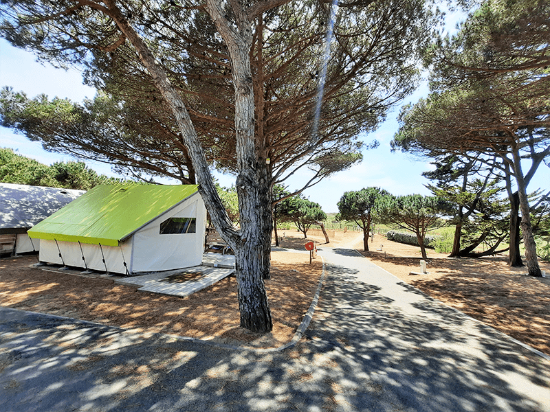 Camping APV Antioche au Bois Plage en Ré - Ecolodge