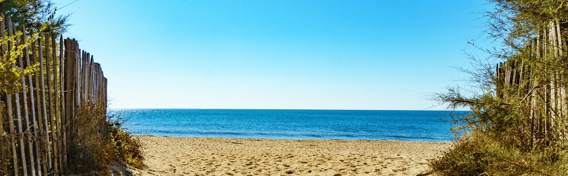 Campsite Mas des Lavandes