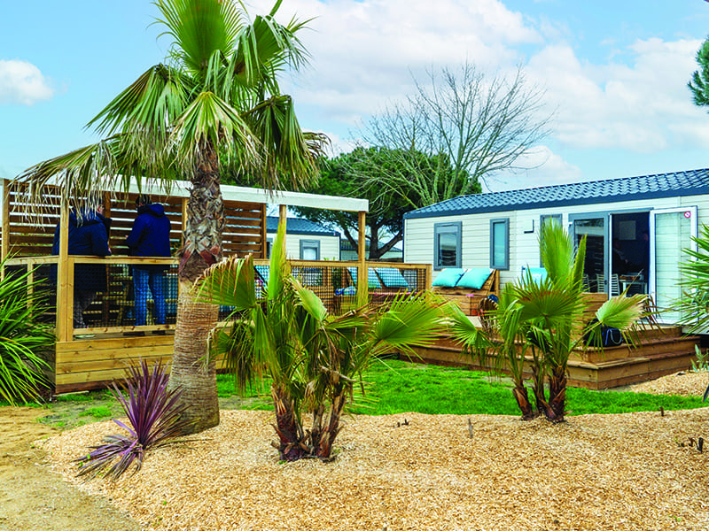 images/establishments/les-aventuriers-de-la-calypso/hebergement/camping-quartier-premium.jpg#joomlaImage://local-images/establishments/les-aventuriers-de-la-calypso/hebergement/camping-quartier-premium.jpg?width=800&height=600
