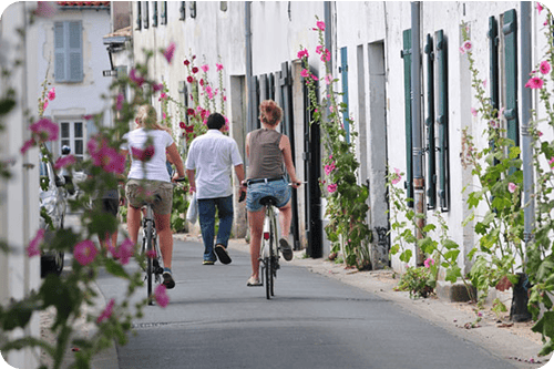 camping ile de re - océan & surf